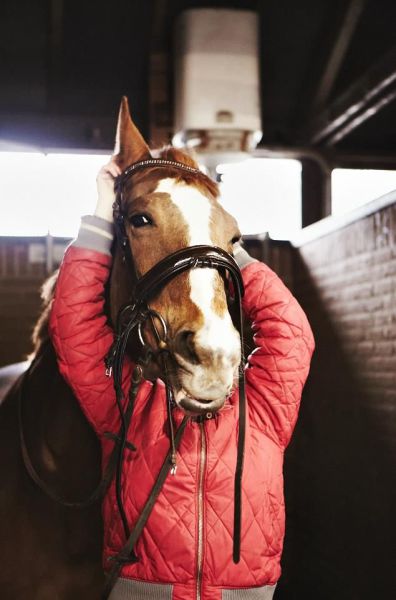 Daily Picdump [WEEKEND EDITION]