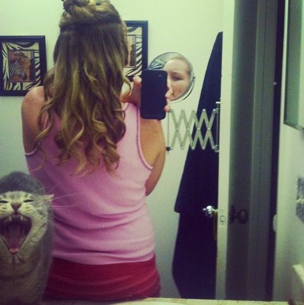 Daily Picdump [WEEKEND EDITION]