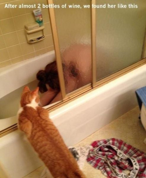 Hilarious Drunk and Wasted People. Part 16