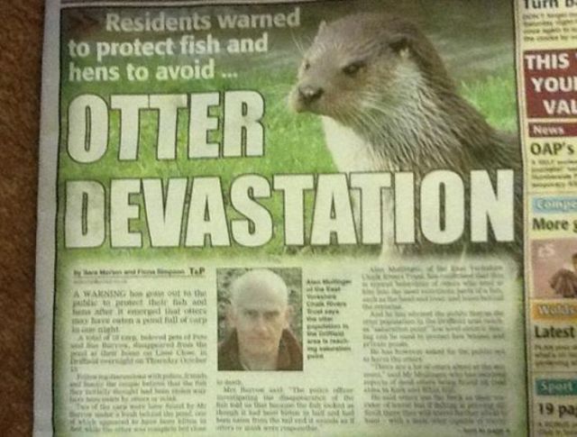 Odd and Amusing Newspaper Headlines