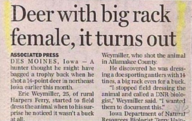 Odd and Amusing Newspaper Headlines