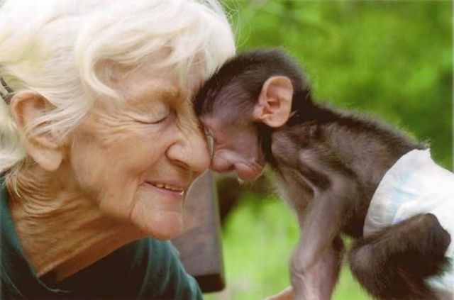 daily picdump 99 pics 3.html - 99 HD Photos | Premium Gallery 2013