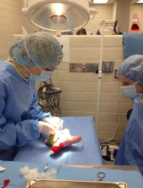 daily picdump 99 pics 3.html - 99 HD Photos | Premium Gallery 2013