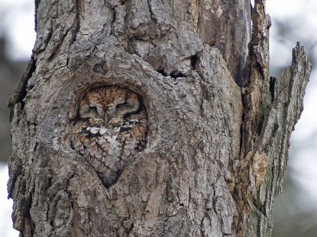 daily picdump 99 pics 3.html - 99 HD Photos | Premium Gallery 2013