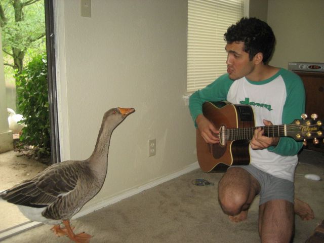 daily picdump 99 pics 3.html - 99 HD Photos | Premium Gallery 2013