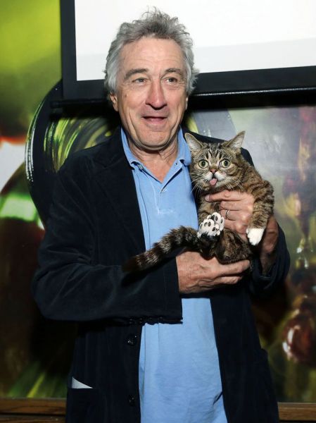 daily picdump 99 pics 3.html - 99 HD Photos | Premium Gallery 2013