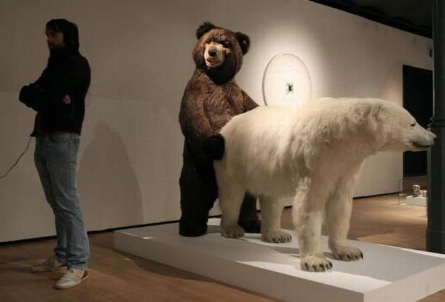 morning picdump 53 pics 7.html - 53 HD Photos | Premium Gallery 2013