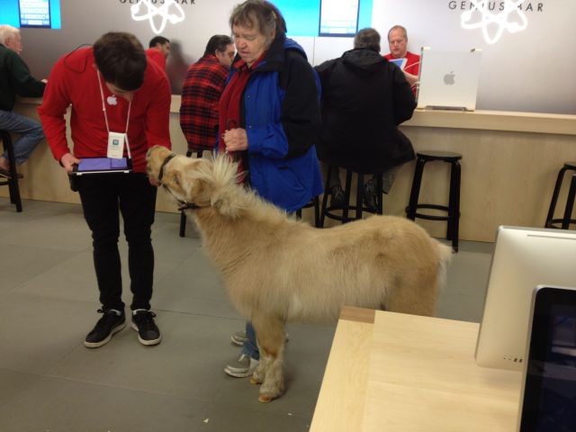 daily picdump 94 pics 16.html - 94 HD Photos | Premium Gallery 2013