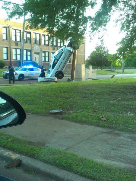 daily picdump 94 pics 16.html - 94 HD Photos | Premium Gallery 2013