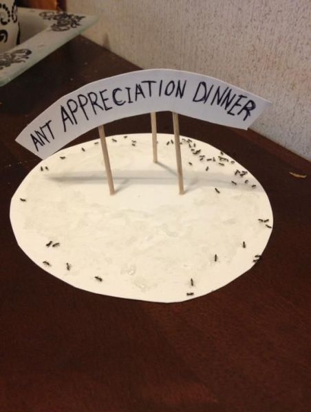 daily picdump 94 pics 16.html - 94 HD Photos | Premium Gallery 2013