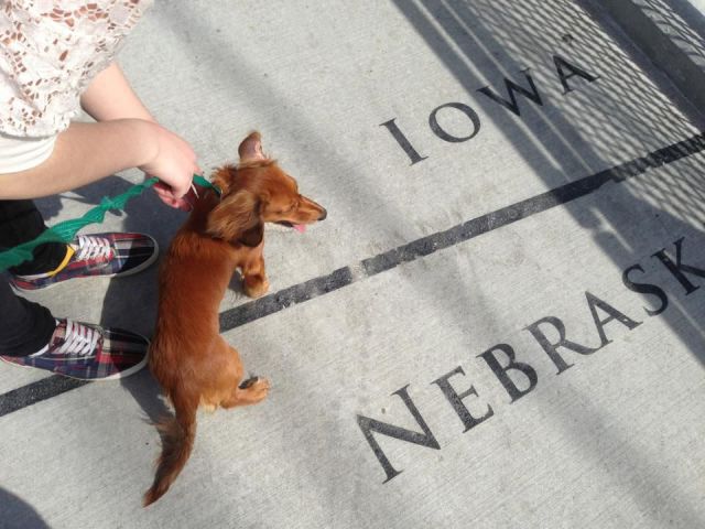 daily picdump 94 pics 16.html - 94 HD Photos | Premium Gallery 2013