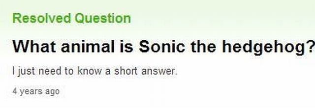 morning picdump 63 pics 7.html - 63 HD Photos | Premium Gallery 2013