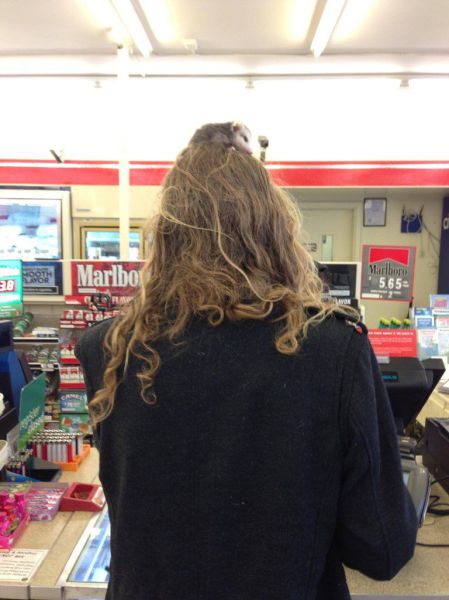 morning picdump 63 pics 7.html - 63 HD Photos | Premium Gallery 2013