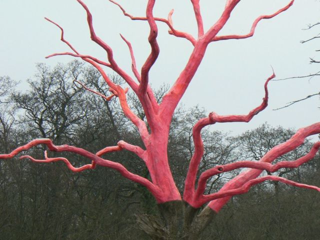 morning picdump 63 pics 7.html - 63 HD Photos | Premium Gallery 2013