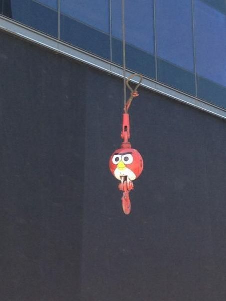 morning picdump 63 pics 7.html - 63 HD Photos | Premium Gallery 2013