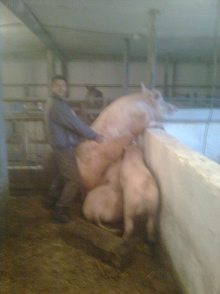 These Are Some of the Oddest People Ever