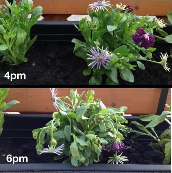 morning picdump 53 pics 14.html - 53 HD Photos | Premium Gallery 2013