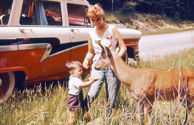 morning picdump 53 pics 14.html - 53 HD Photos | Premium Gallery 2013