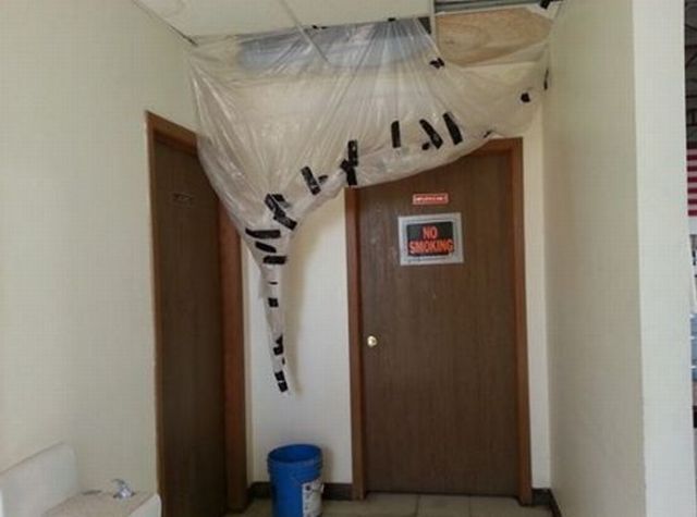 morning picdump 56 pics 18.html - 56 HD Photos | Premium Gallery 2013