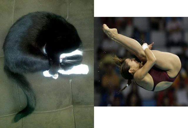 morning picdump 55 pics 3.html - 55 HD Photos | Premium Gallery 2013