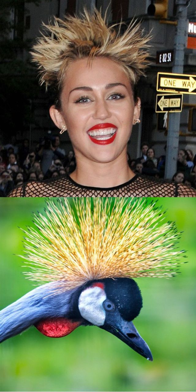 morning picdump 55 pics 3.html - 55 HD Photos | Premium Gallery 2013