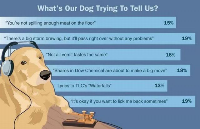 morning picdump 51 pics 2.html - 51 HD Photos | Premium Gallery 2013