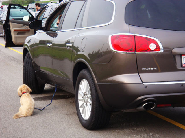 Some Bizarre Things Women Have Been Caught Doing