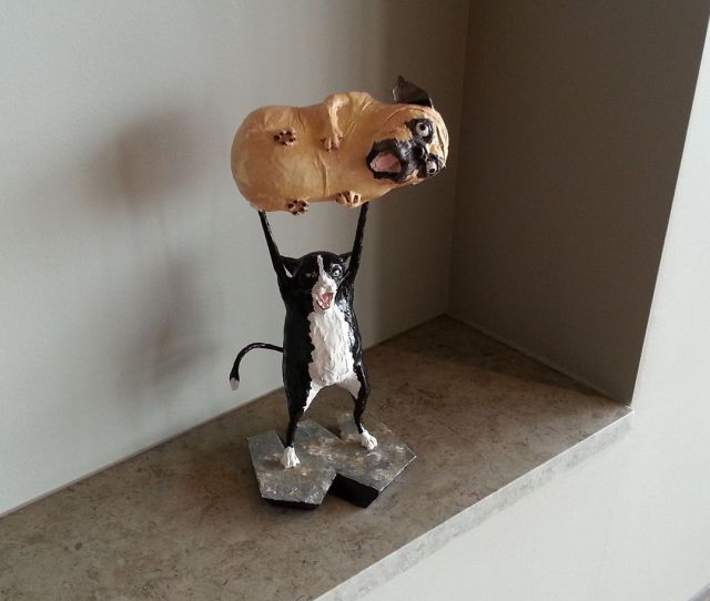 morning picdump 54 pics 25.html - 54 HD Photos | Premium Gallery 2013