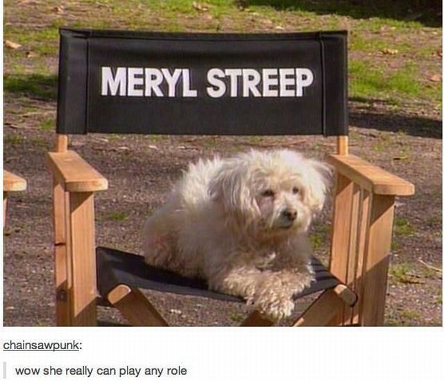 morning picdump 51 pics 10.html - 51 HD Photos | Premium Gallery 2013