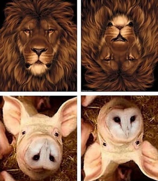 morning picdump 51 pics 10.html - 51 HD Photos | Premium Gallery 2013