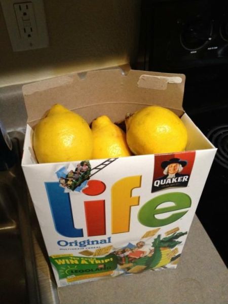 morning picdump 51 pics 10.html - 51 HD Photos | Premium Gallery 2013