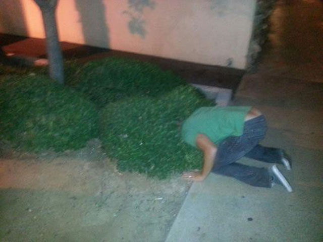 Hilarious Drunk and Wasted People. Part 17