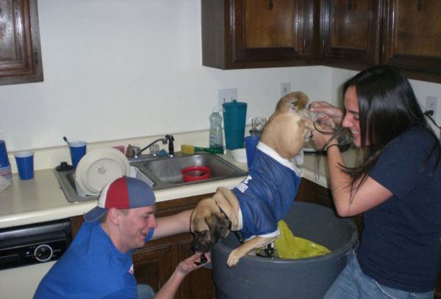 Hilarious Drunk and Wasted People. Part 17