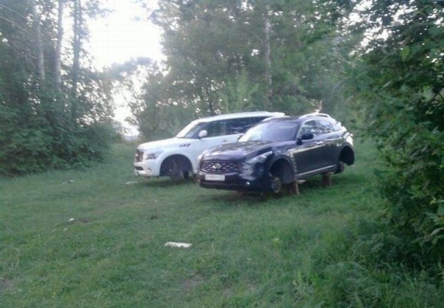 morning picdump 54 pics 24.html - 54 HD Photos | Premium Gallery 2013