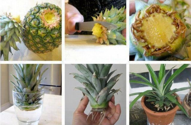 morning picdump 54 pics 24.html - 54 HD Photos | Premium Gallery 2013