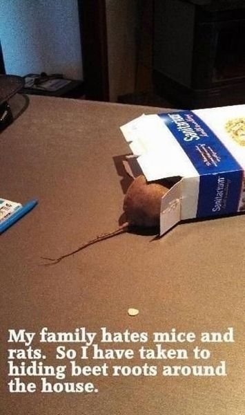 morning picdump 54 pics 24.html - 54 HD Photos | Premium Gallery 2013