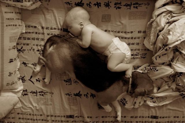 morning picdump 54 pics 19.html - 54 HD Photos | Premium Gallery 2013