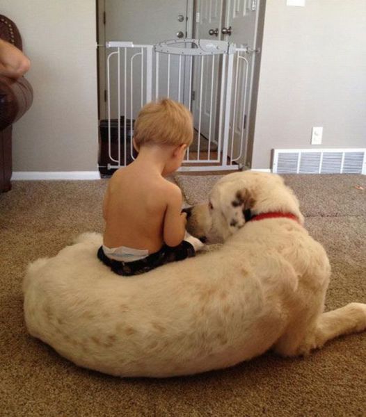 morning picdump 54 pics 19.html - 54 HD Photos | Premium Gallery 2013