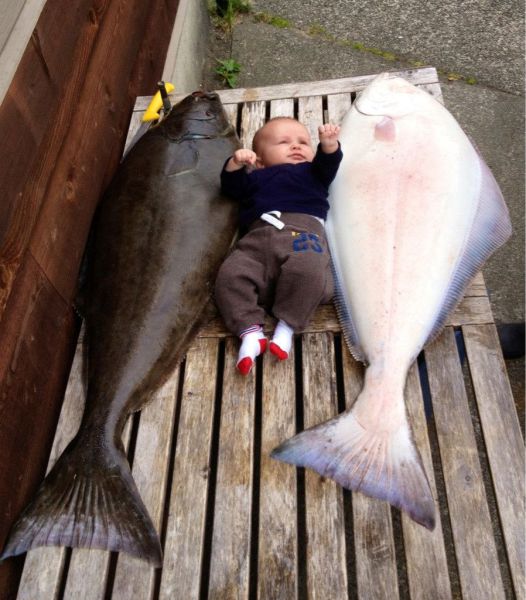 morning picdump 54 pics 19.html - 54 HD Photos | Premium Gallery 2013