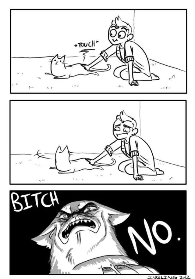 morning picdump 54 pics 17.html - 54 HD Photos | Premium Gallery 2013