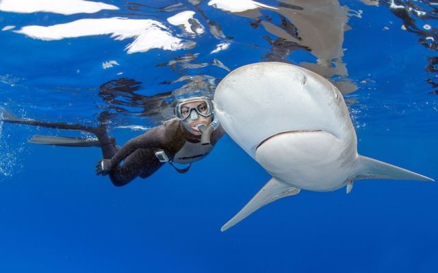 daily picdump weekend edition 103 pics 17.html - 103 HD Photos | Premium Gallery 2013