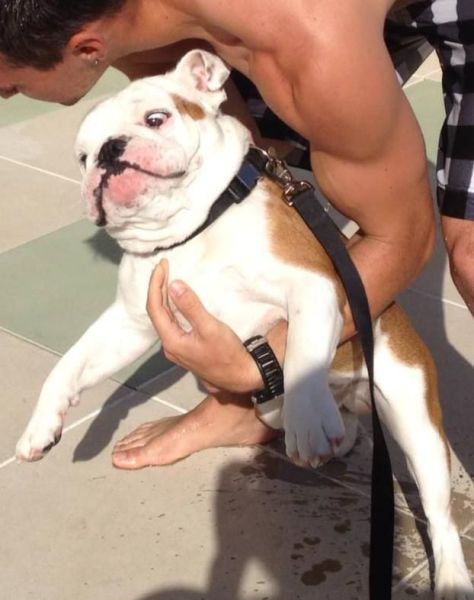 daily picdump weekend edition 103 pics 17.html - 103 HD Photos | Premium Gallery 2013