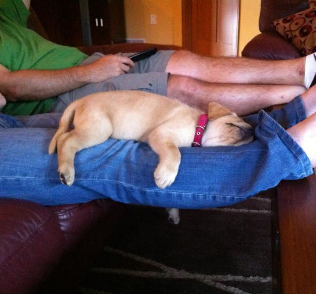 daily picdump weekend edition 103 pics 17.html - 103 HD Photos | Premium Gallery 2013