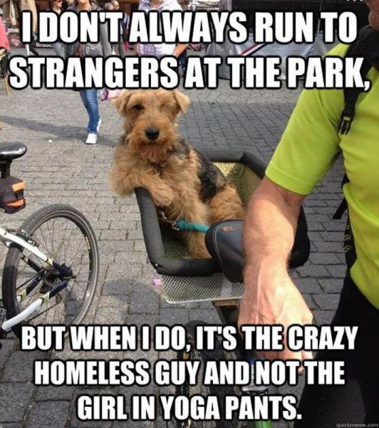 daily picdump weekend edition 103 pics 17.html - 103 HD Photos | Premium Gallery 2013