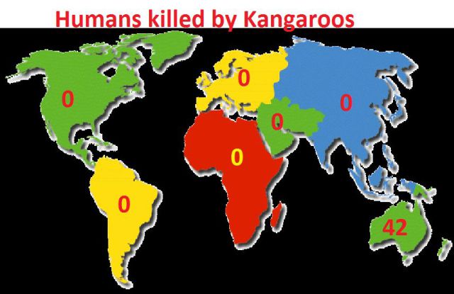 morning picdump 54 pics 20.html - 54 HD Photos | Premium Gallery 2013