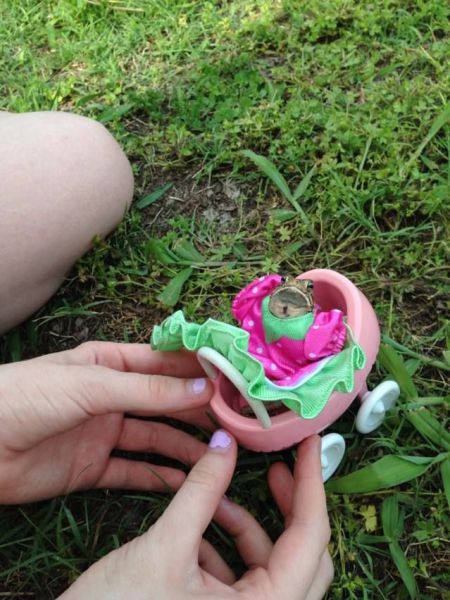 morning picdump 54 pics 20.html - 54 HD Photos | Premium Gallery 2013