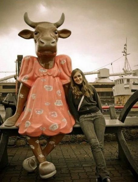 morning picdump 54 pics 20.html - 54 HD Photos | Premium Gallery 2013