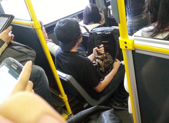 morning picdump 54 pics 6.html - 54 HD Photos | Premium Gallery 2013