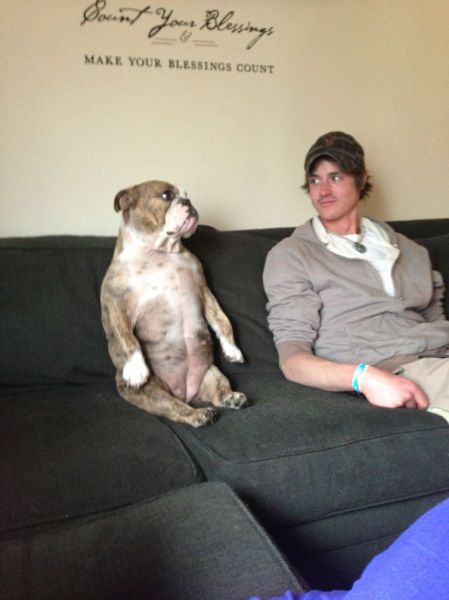 morning picdump 54 pics 6.html - 54 HD Photos | Premium Gallery 2013