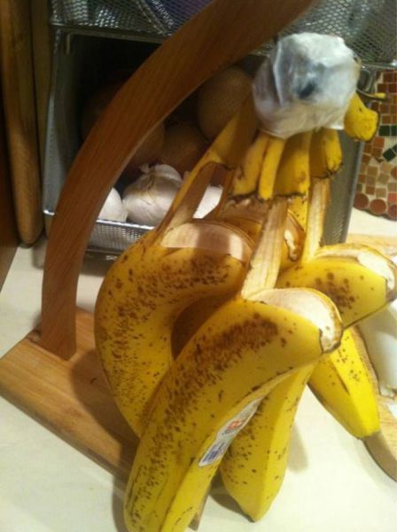 morning picdump 54 pics 6.html - 54 HD Photos | Premium Gallery 2013